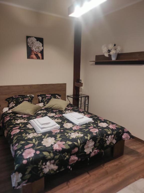 Apartament Centrum Rp Катовіце Екстер'єр фото